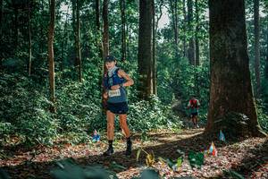 BIB: 
                            <button type="button" onclick="openModal(26130075)" class="btn btn-primary btn-sm float-right btn-popup" data-toggle="modal" data-target=".modal-high-quality">
                        <i class="fas fa-shopping-cart"></i> Add to Cart
                    </button>
                                            <button type="button" onclick="isThisMe(26130075, true)" class="btn btn-success btn-sm float-right btn-popup btn-isme hidden" data-toggle="tooltip" data-placement="bottom" title="นี่คือรูปของคุณใช่ไหม คลิกที่นี่เพื่อเอาเข้าอัลบั้ม">
                        <i class="fas fa-plus"></i> Add to album
                    </button>
                    <button type="button" onclick="isThisMe(26130075, false)" class="btn btn-warning btn-sm float-right btn-popup btn-isnotme hidden">
                        <i class="fas fa-ban"></i> Remove from album
                    </button>